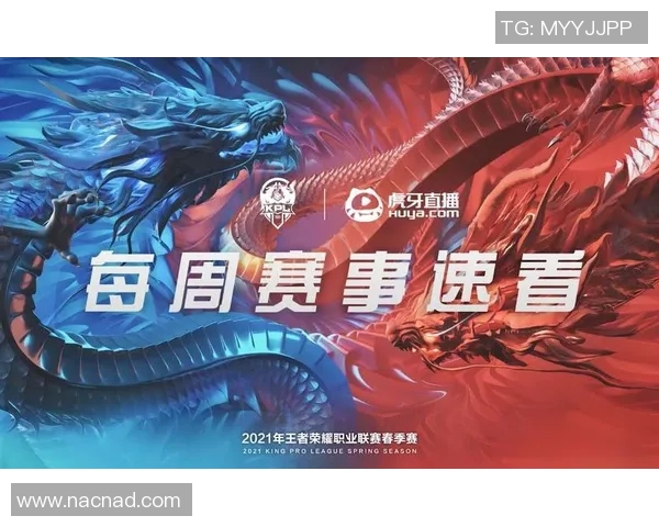 北京与山东的激烈对决六轮赛程解析与精彩回顾