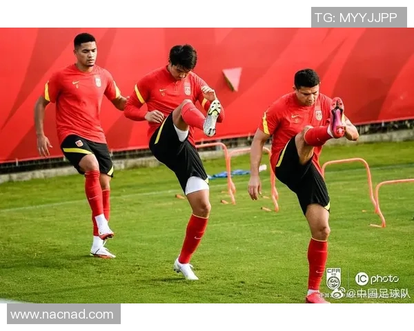 中国足球虎扑：探索中国足球的未来与发展之路，共同见证足球文化的崛起与进步