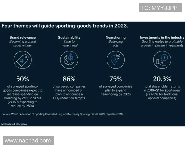 全球体育服装市场四大品牌的崛起与竞争分析