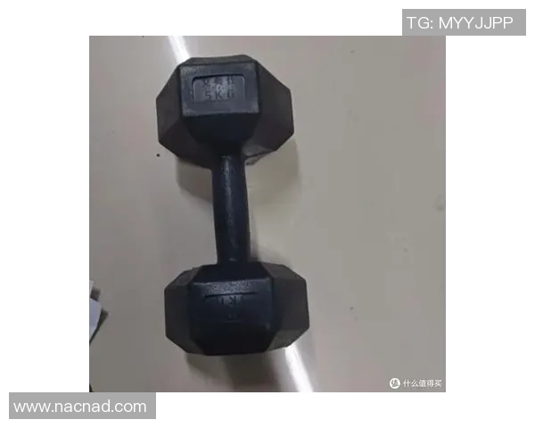 提升力量与健康的秘密武器hoist健身器材全解析与使用指南